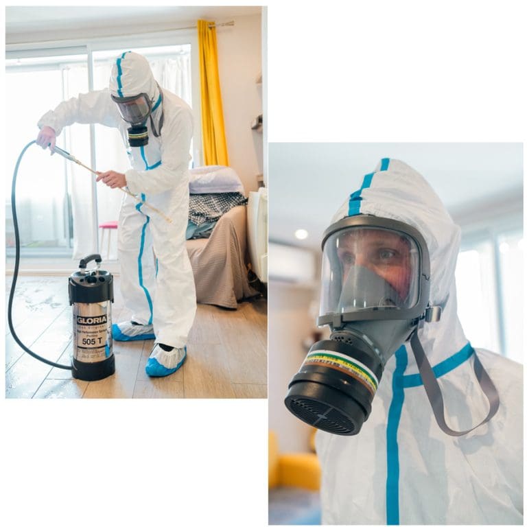 Insecticlean Marseille Désinsectisation Dératisation Atouts